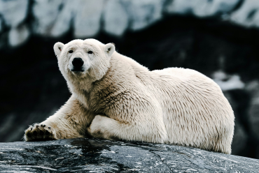 Svalbard
