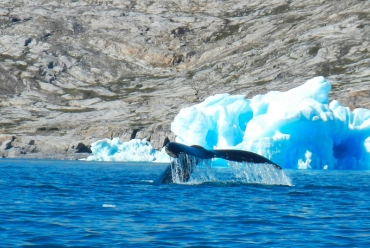 East Greenland