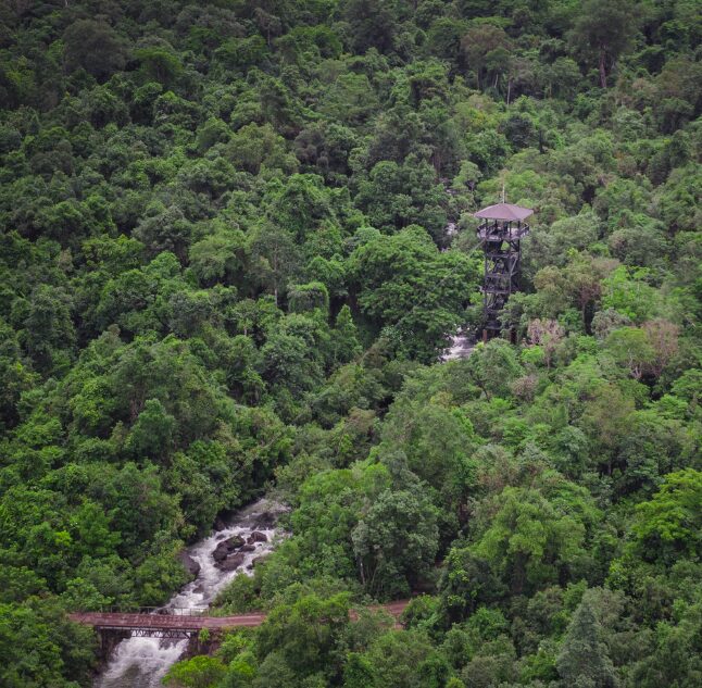 Shinta Mani Wild, Cardamom Mountains, Cambodia