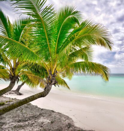 Beach, Cambodia