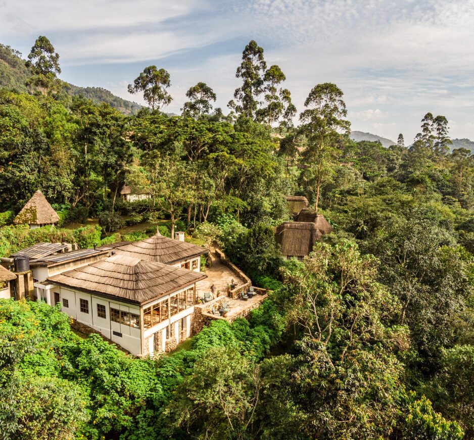 Volcanoes Bwindi Lodge, Bwindi Impenetrable National Park, Uganda