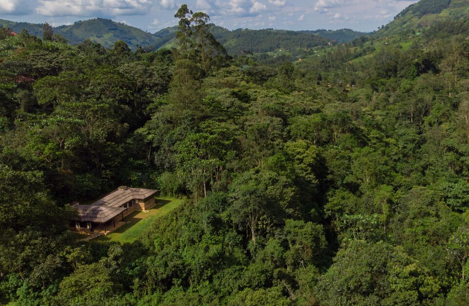 Volcanoes Bwindi Lodge, Bwindi Impenetrable National Park, Uganda