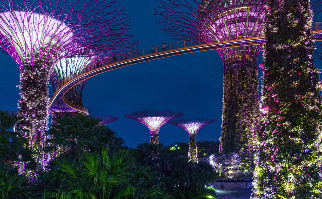 gardens by the bay on a luxury singapore holiday