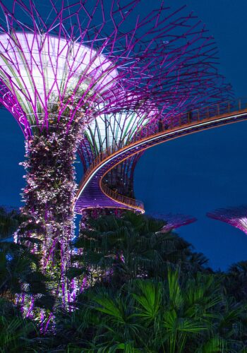 gardens by the bay on a luxury singapore holiday