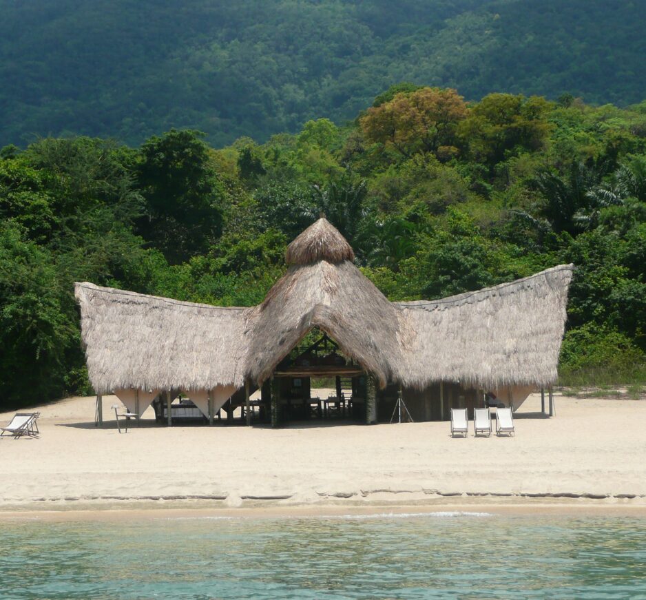 Greystoke, Mahale Mountains