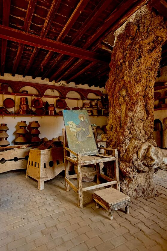 The ancient tree traditionally said to have grown from the staff of Bishoy of Scetis