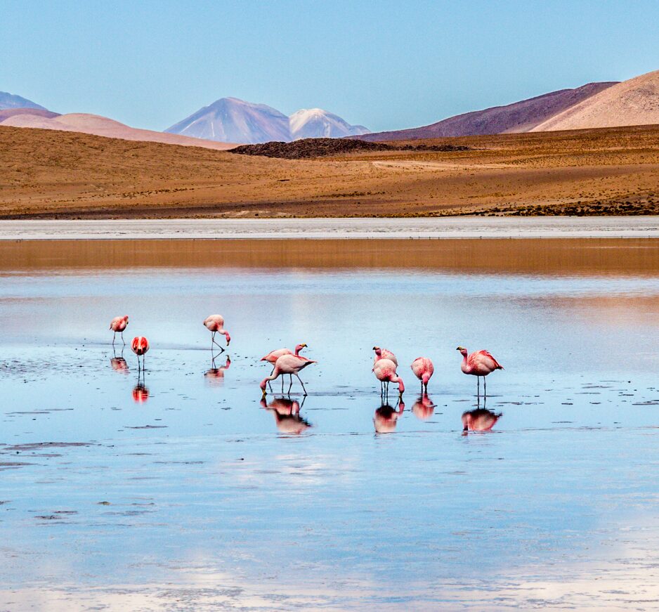 Atacama Desert, Chile