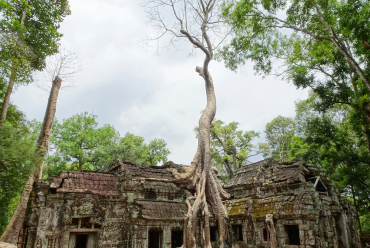 Ta Prohm, Cambodia