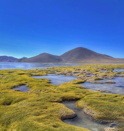 The Altiplano, Atacama Desert, Chile