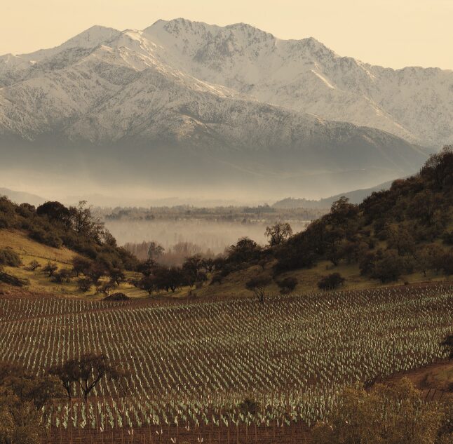 Casa Real, Maipo Valley, Chile