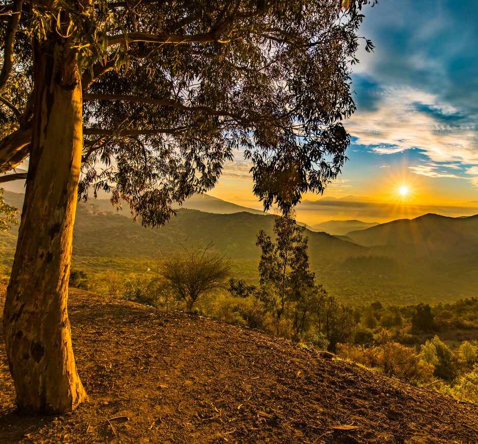 Sunset over the Maipo Valley