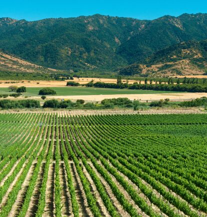Colchagua Valley, Chile