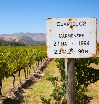 Colchagua Valley, Chile