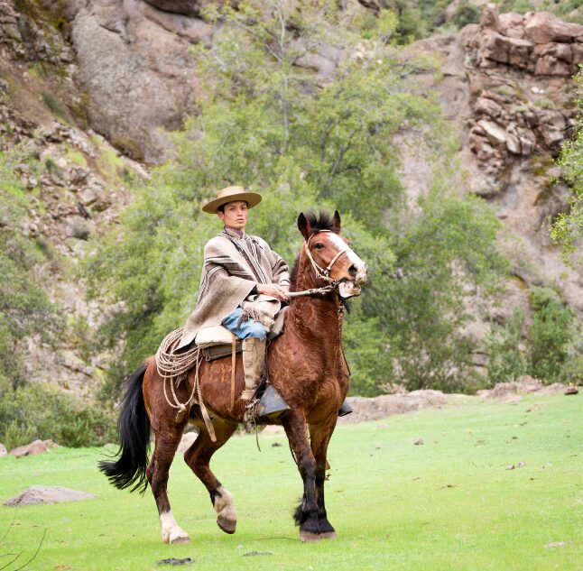 A Chilean cowboy in the Maipo Valley