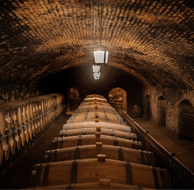 Wine cellar in the Maipo Valley