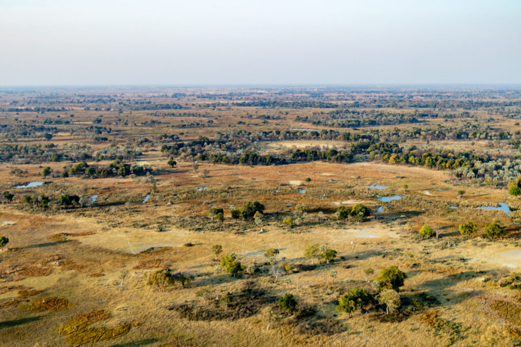 okavango delta in Botswana in africa from above out of the airplane