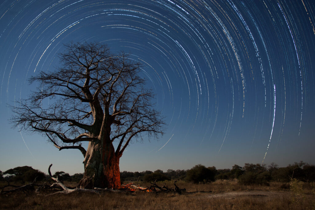 Botswana nature, beautiful honeymoon destination