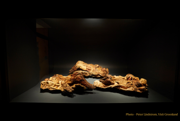 Ice mummies of Nuuk Museum