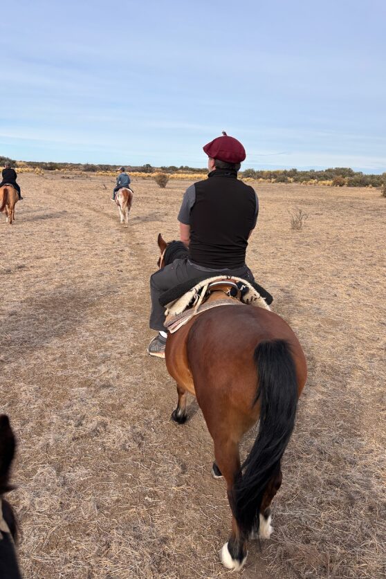 Proof I was on a horse!