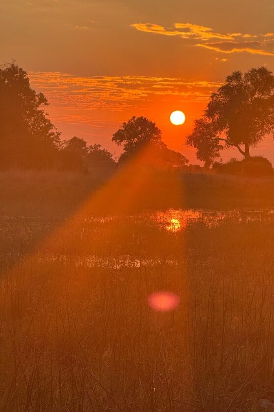 Sunrise in the Okavango Delta