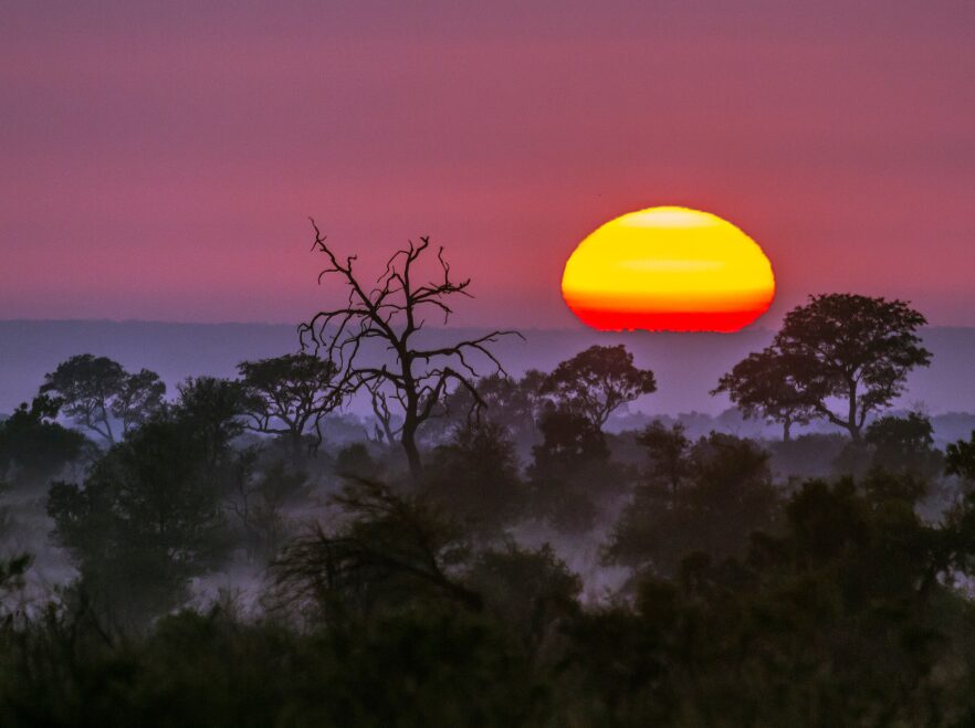 Kruger National Park, South Africa