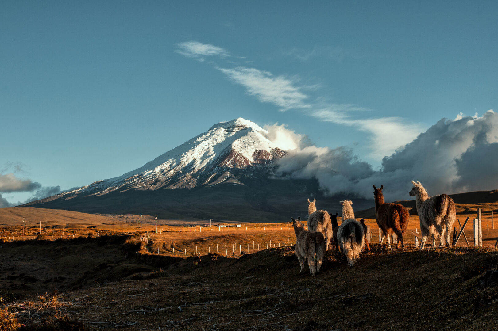 Luxury Travel in Ecuador