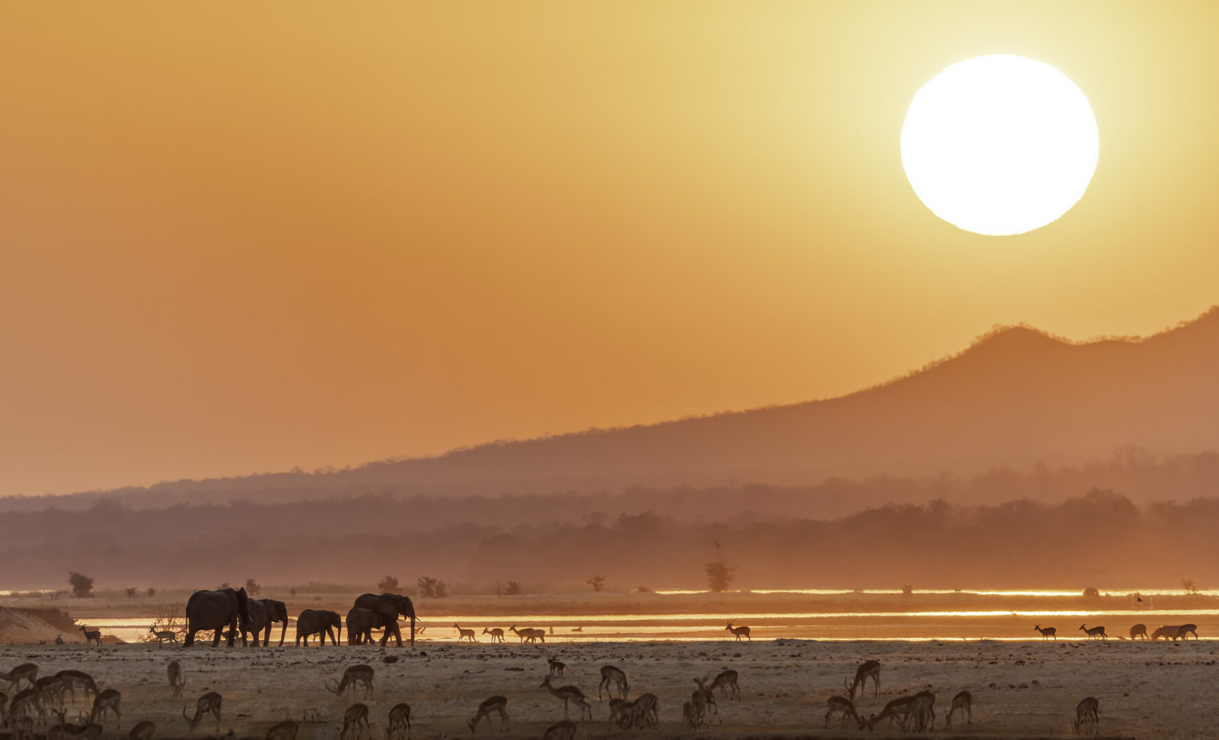Luxury Travel in Zimbabwe