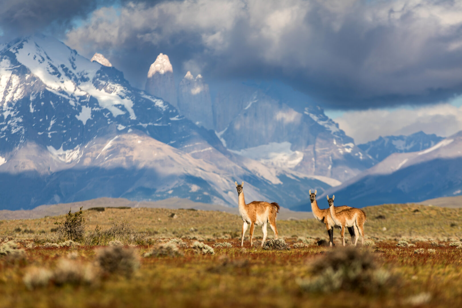 Chilean Patagonia