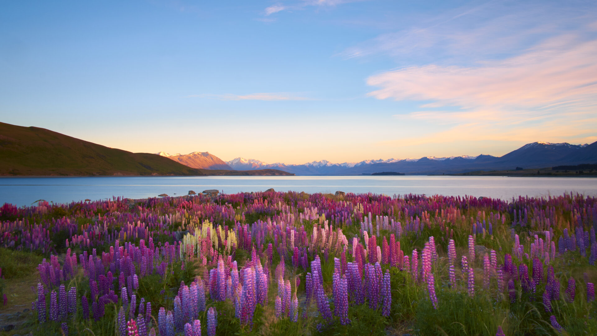 New Zealand Luxury Travel
