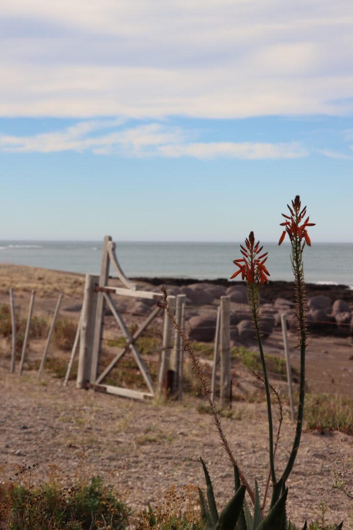 Views of Patagonia Azul