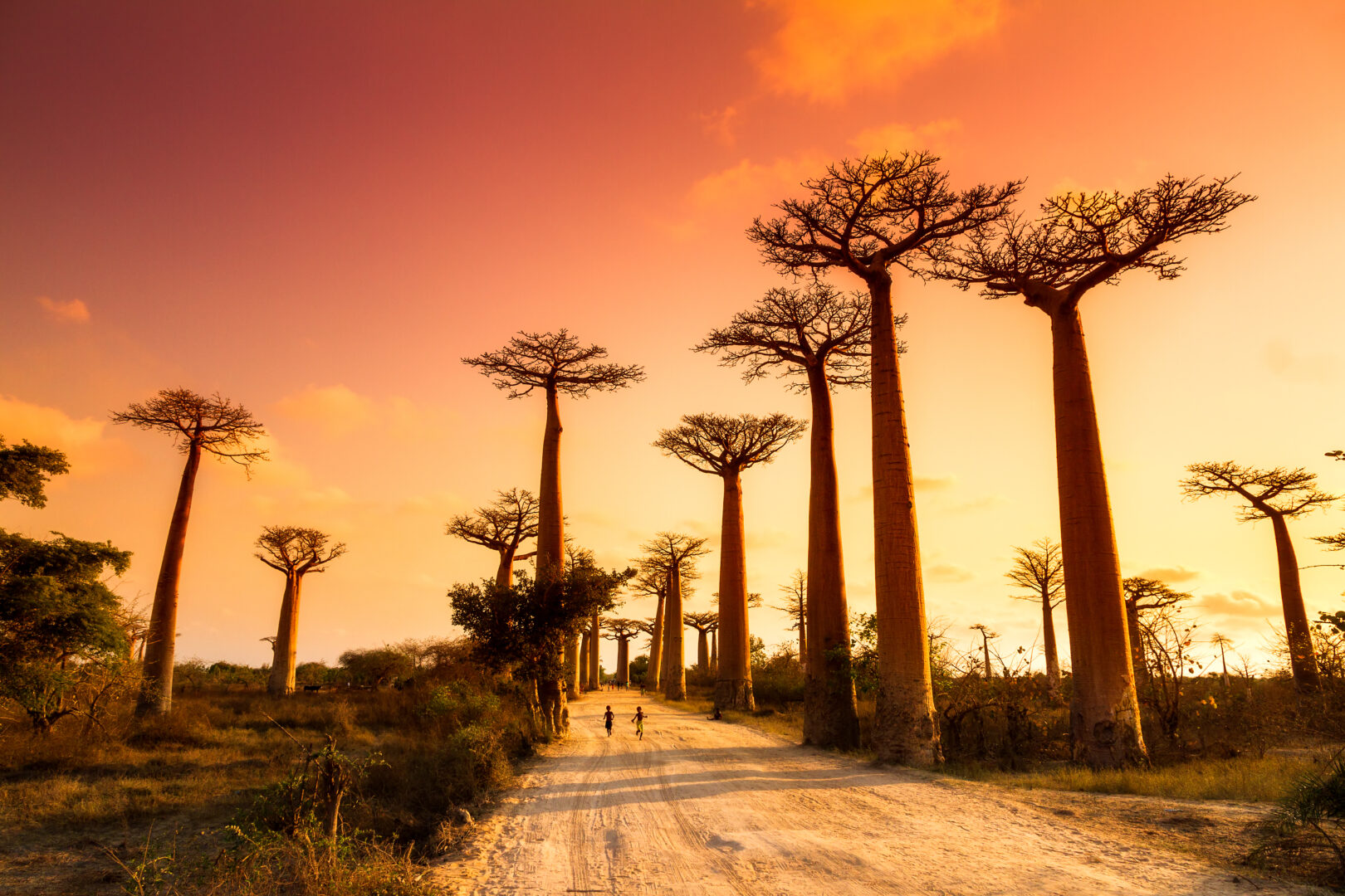 Luxury Travel Madagascar