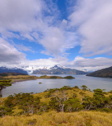 Patagonian Fjords