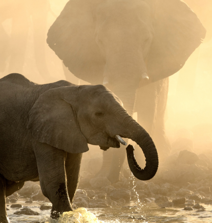 Kruger National Park, South Africa