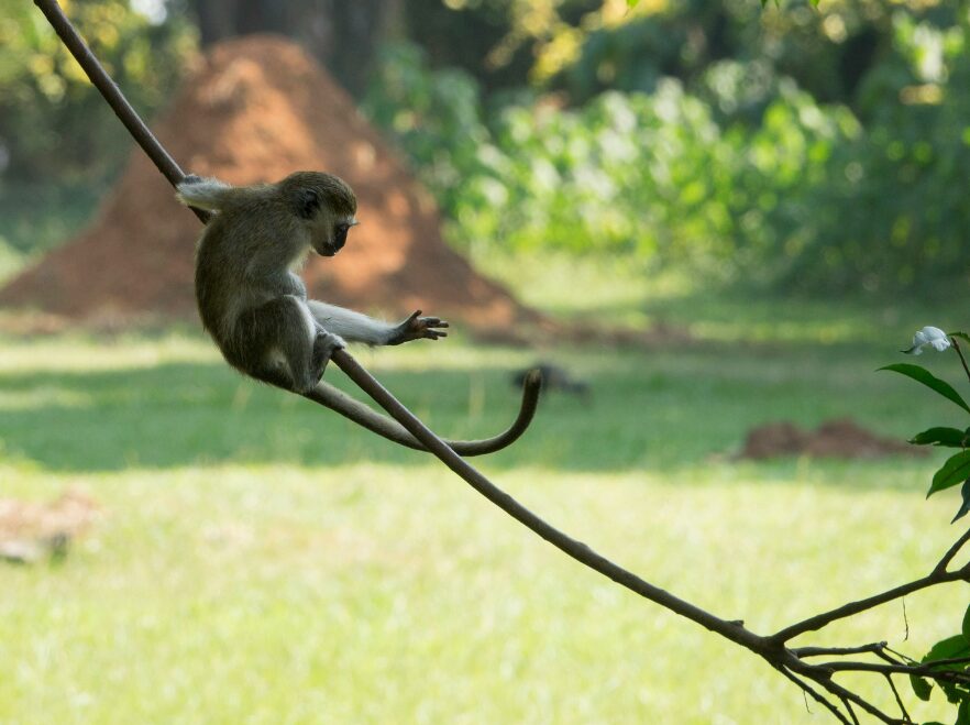 Entebbe, Uganda