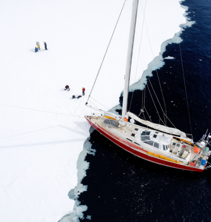 Icebird, Antarctica