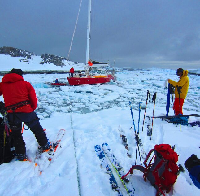Icebird, Antarctica