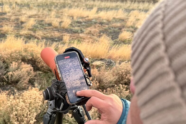 High quality scopes make life so much easier