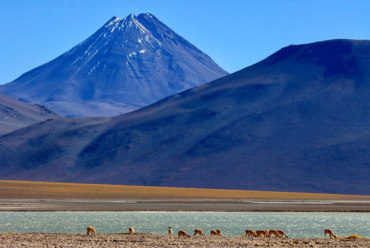 The Atacama Desert, Chile