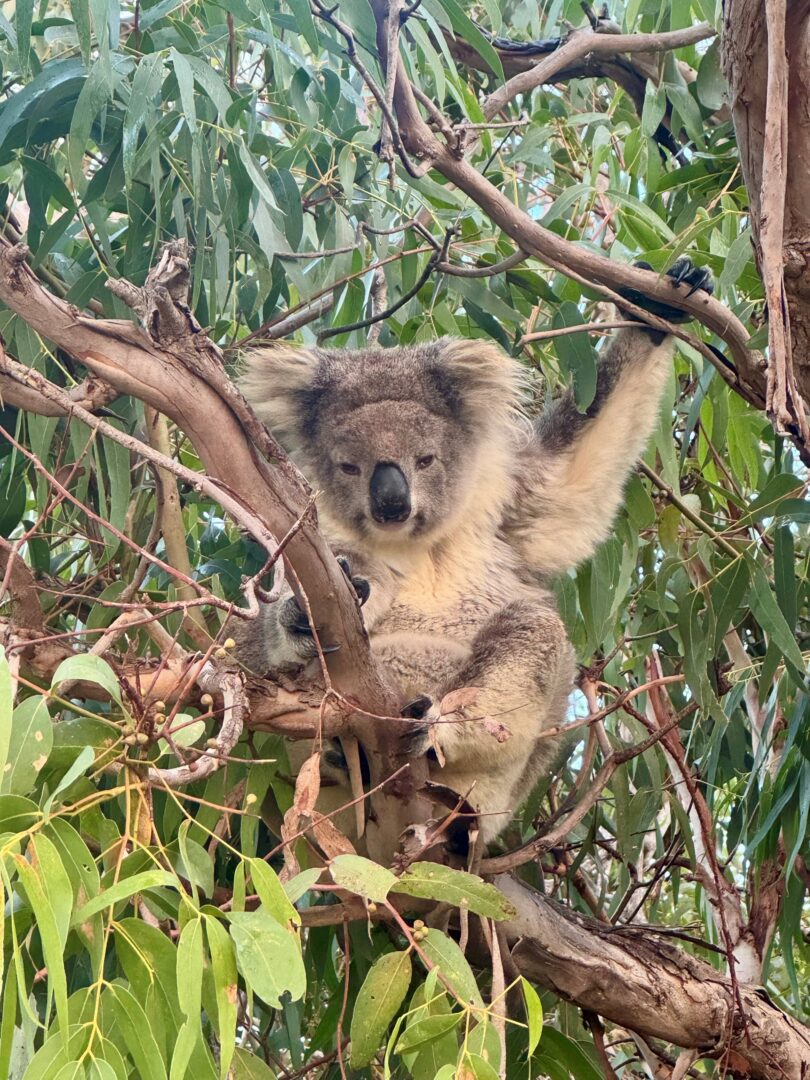 Eyre Peninsula, Australia