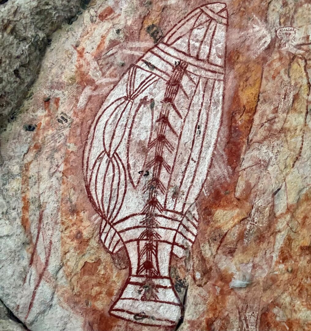 Davidson's Arnhem Land Safaris, Northern Territory, Australia