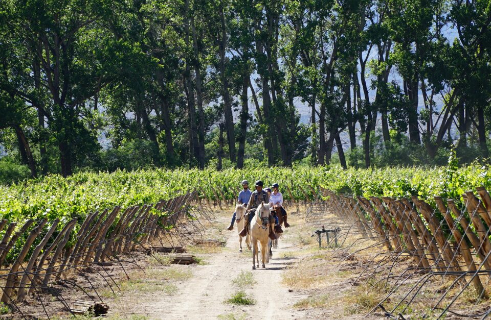 Estancia & Bodega Colomé