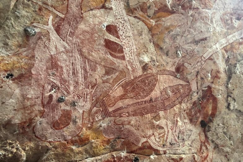 Davidson's Arnhem Land Safaris, Northern Territory, Australia