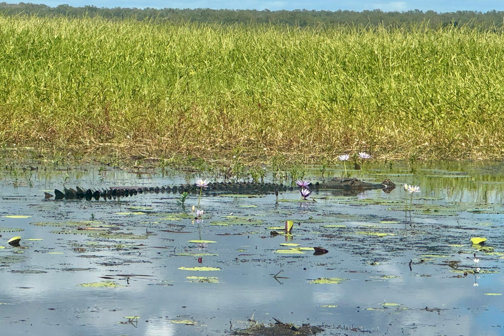 Davidson's Arnhem Land Safaris, Northern Territory, Australia