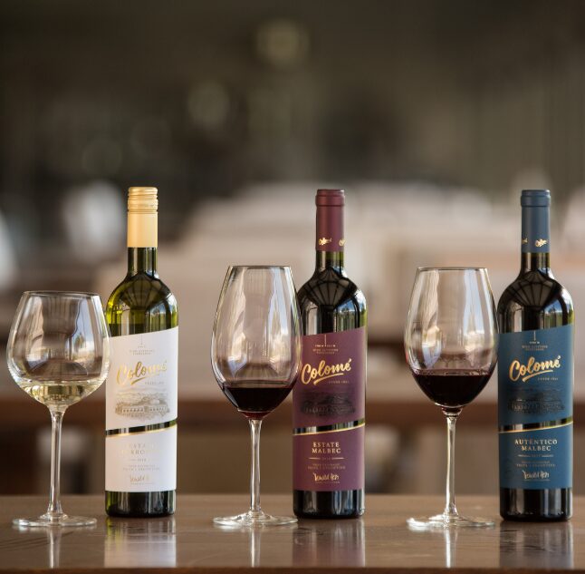Estancia & Bodega Colomé