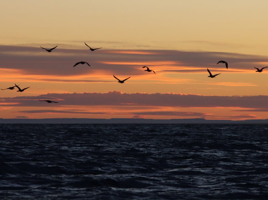 Sunset in Patagonia Azul