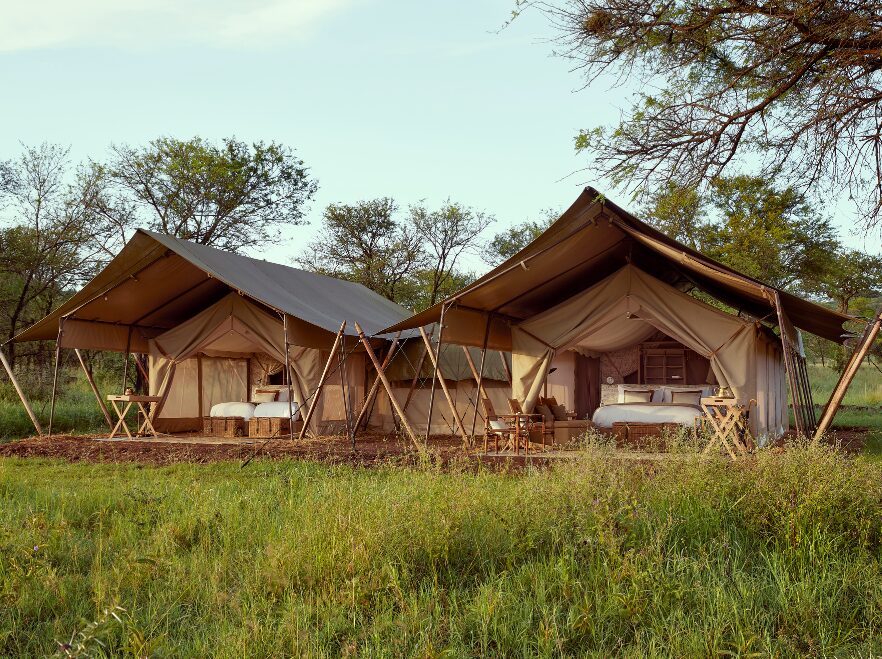 Laba Migration Camp, Serengeti National Park, Tanzania