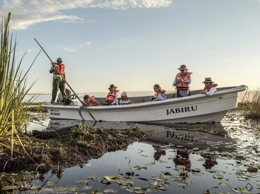 Explore the waterways of Ibera