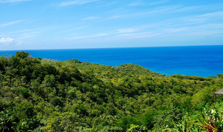 LABA Siwandu, Nyerere National Park, Tanzania