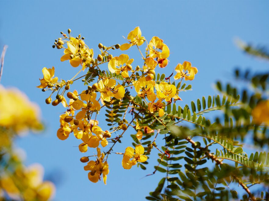 LABA Siwandu, Nyerere National Park, Tanzania