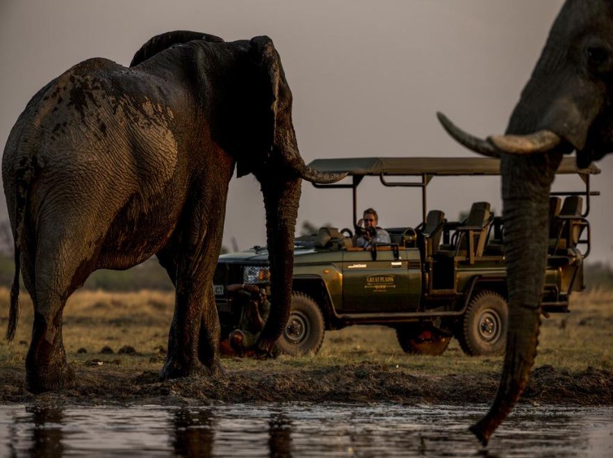 Zarafa Camp, Okavango Delta, Botswana